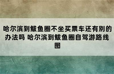 哈尔滨到鲅鱼圈不坐买票车还有别的办法吗 哈尔滨到鲅鱼圈自驾游路线图